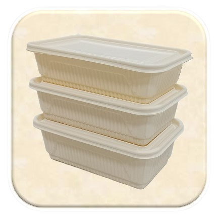 Corn Starch Rectangle Containers