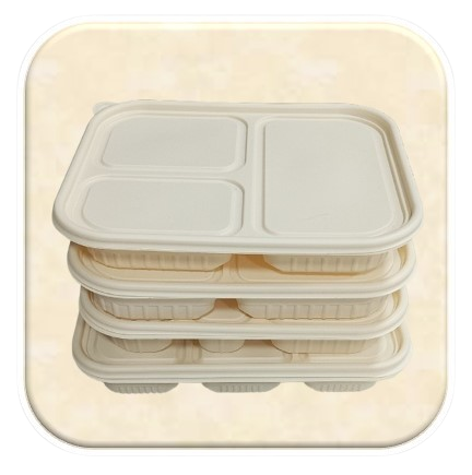 Corn Starch Meal Trays
